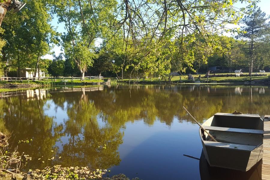 Domaine De L'Etanchet Hotel Saint-Hilaire-le-Vouhis Bagian luar foto